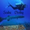 Scuba Diving (Remix) artwork