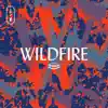 Wildfire (Live) album lyrics, reviews, download