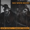 Deli midir Nedir? - Single