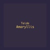 Amaryllis - Single