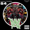 Wachufleiva 54