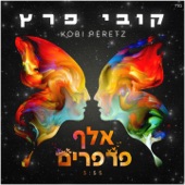 אלף פרפרים artwork