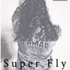 Super Fly - Single
