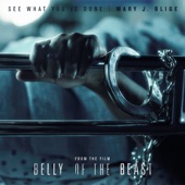 See What You've Done (From The Film Belly Of The Beast) artwork