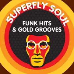 Superfly Soul Funk Hits & Gold Grooves by Various Artists album reviews, ratings, credits
