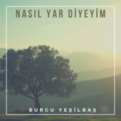 Nasıl Yar Diyeyim (Live) artwork