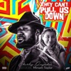 They Can't Pull Us Down (feat. Miriam Taylor) - Single