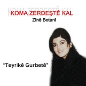 Teyrikê Gurbetê artwork