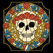 Spectrum Center, Charlotte, NC 11/28/17 (Live) - Dead & Company