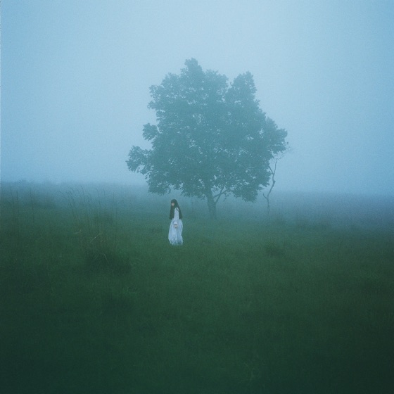 Cover artwork for Asleep Among Endives
