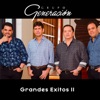 Grandes Éxitos II