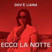 Ecco la Notte artwork