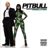 Pitbull Starring In: Rebelution, 2009