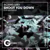 Shoot You Down - Single album lyrics, reviews, download