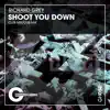 Stream & download Shoot You Down - Single