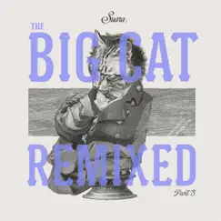 The Big Cat Remixed Pt. 3 - Single by Coyu album reviews, ratings, credits
