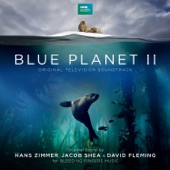 Hans Zimmer/Jacob Shea/David Fleming - Ducks and Currents