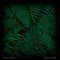 Kula - Toby Schay lyrics