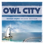 Owl City - Sunburn