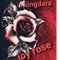 Icy Rose - King Dara lyrics