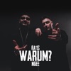 Warum? by Ra'is, NGEE iTunes Track 1