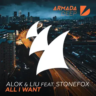 All I Want (feat. Stonefox) [Extended Mix] by Alok & Liu song reviws