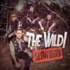 Slow Burn - Single album lyrics, reviews, download