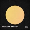 What It Seems - Single