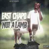 Not a Lamb album lyrics, reviews, download