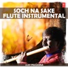 Soch Na Sake - Flute Instrumental - Single