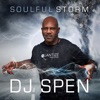 Soulful Storm (The Edits)