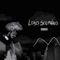 Lobo Solitário - Vaine lyrics