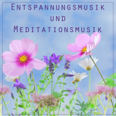 Entspannungsmusik und Meditationsmusik - Hintergrundmusik und Einschlafmusik zum Entspannen und Meditieren - Meditationsmusik & Entspannungsmusik