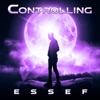 Controlling - EP