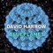 Spacefly - David Harrow lyrics