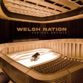 Welsh Nation artwork