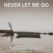 Never Let Me Go artwork