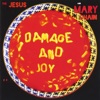 Damage and Joy