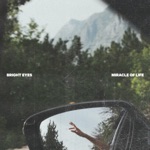 Miracle of Life (feat. Phoebe Bridgers) by Bright Eyes