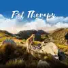 Pet Therapy - Cure for Separation Anxiety, Calms Down Your Dog While You Are Out album lyrics, reviews, download
