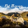 Pet Therapy - Cure for Separation Anxiety, Calms Down Your Dog While You Are Out