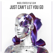 Just Can’t Let You Go artwork