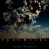Perennial - Anthony Muthurajah