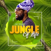 Jungle of Life (Fx Rhulez Remix) [feat. Kryssi Webb] artwork