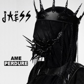 Ame perdure artwork