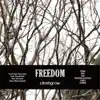 FREEDOM - EP album lyrics, reviews, download