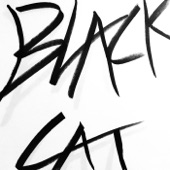 Irontom - Black Cat