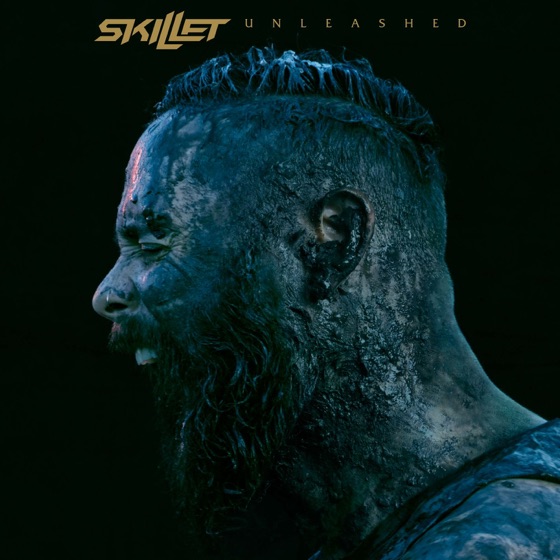 Cover artwork for Burn It Down