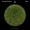Prismode & Solvane - Mole (Julian Wassermann Remix) - Mole EP