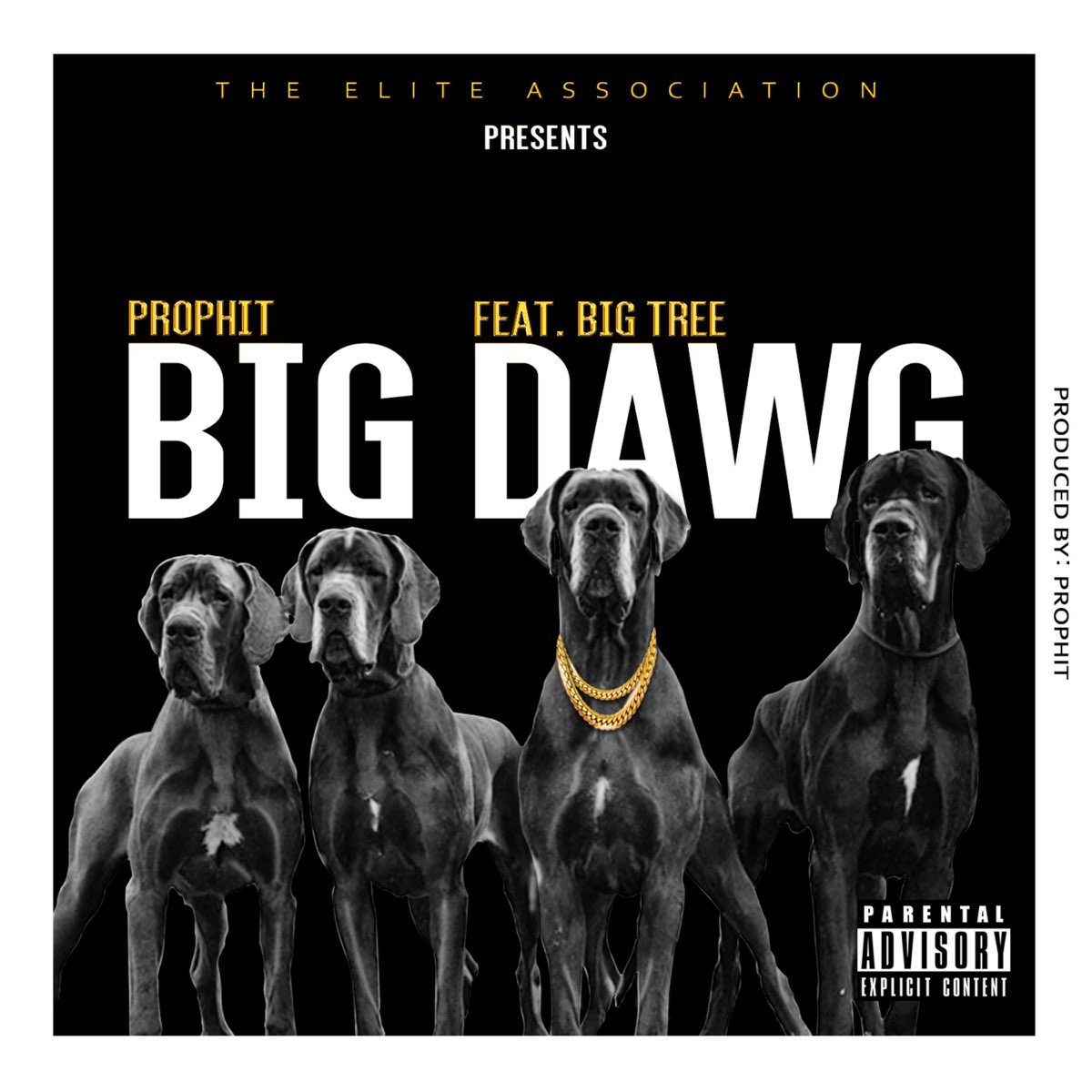 The big dawgs demo